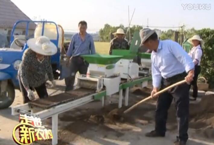 水稻机械化育苗