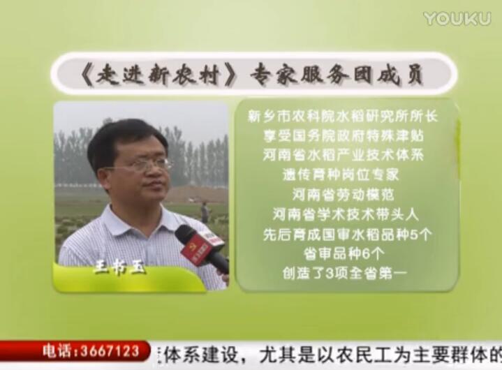 田间忙插秧 专家来帮忙