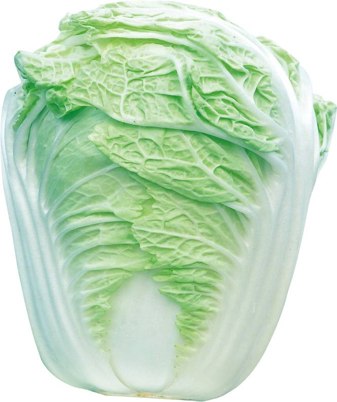 国鉴耐热耐强光大白菜新早59
