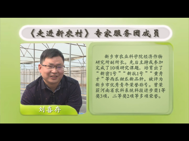 西瓜春季管理技术