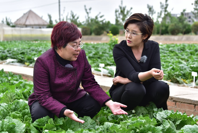 QQ图片20190514164425