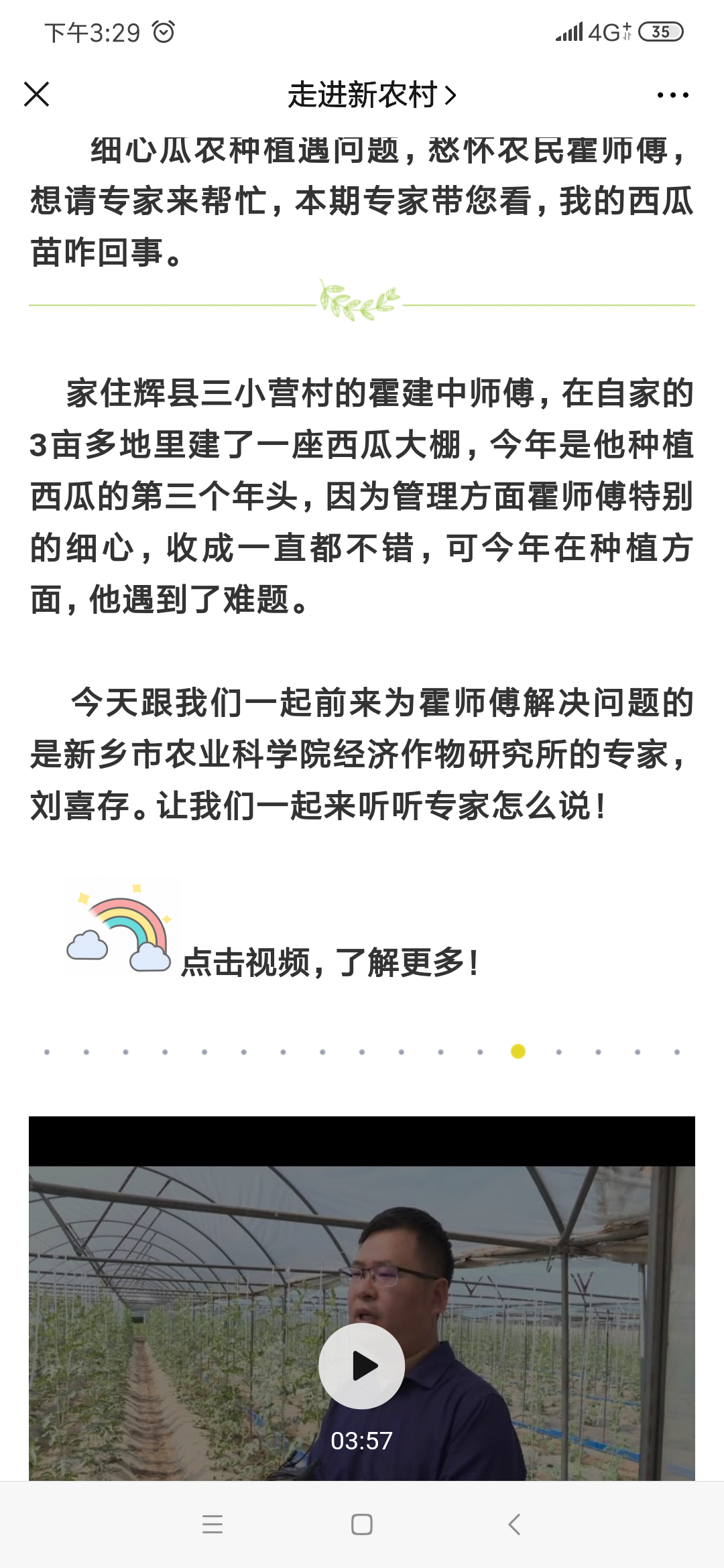 30.我的西瓜苗咋回事