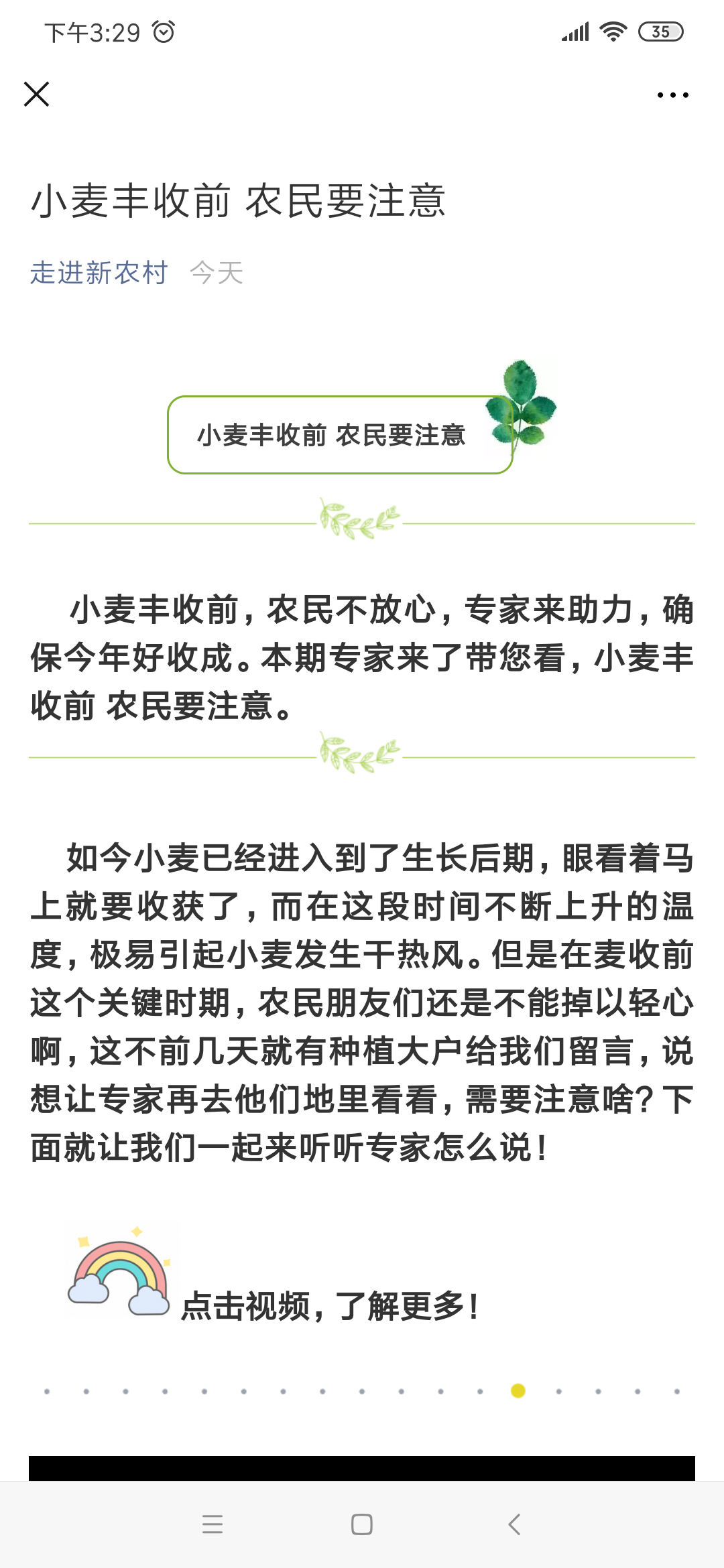 31、小麦丰收前 农民要注意