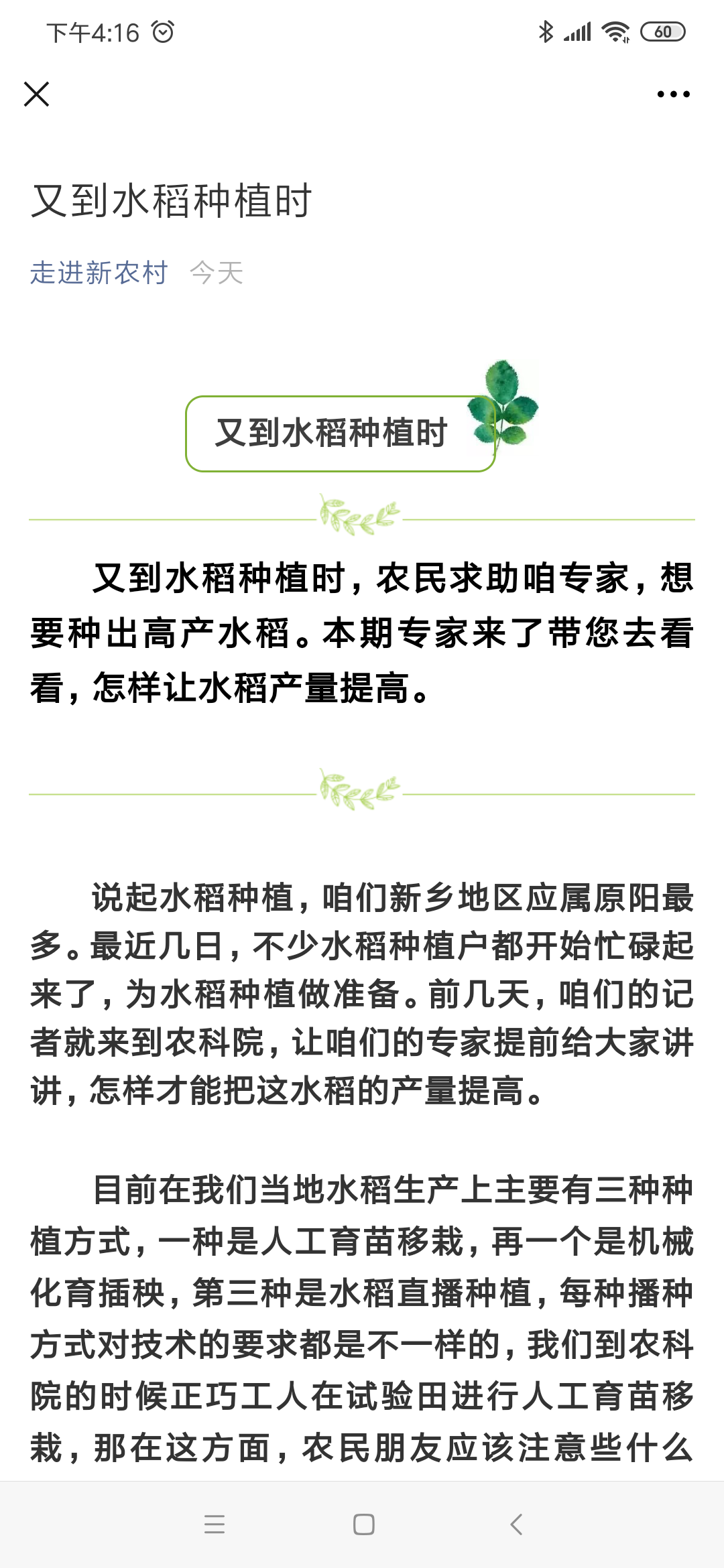 32.又到水稻种植时