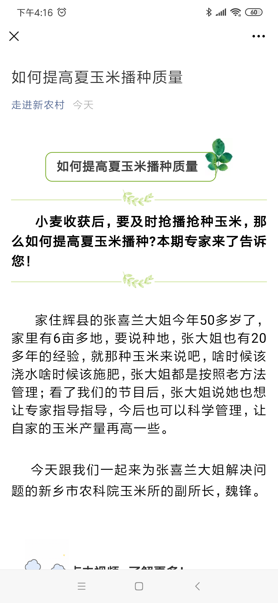 33.如何提高夏播玉米产量