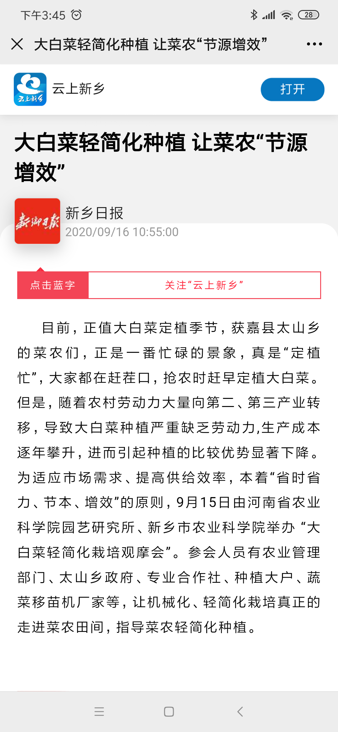 47.大白菜轻简化种植 让菜农节源增效