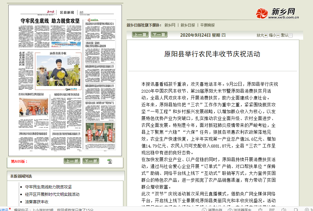 49.原阳农民丰收节