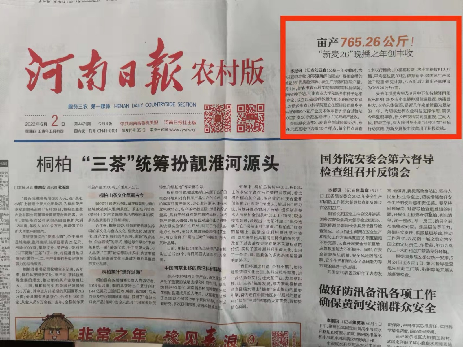 44.小麦26创丰收