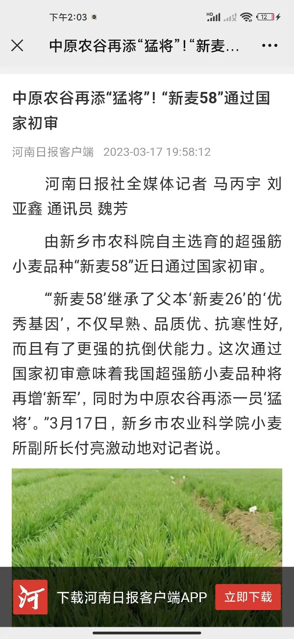 5.3.17中原农谷再添猛将