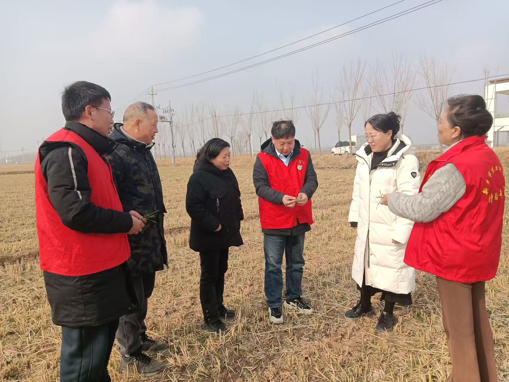 微信图片_20260130170302