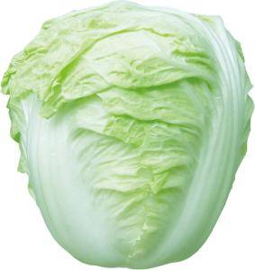 国鉴耐热抗病早熟大白菜新品种新早58